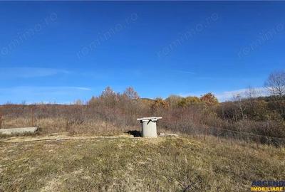 3D! Casa noua Persani,2022,panorama, design elegant,echipata,1.532 mp teren - 6