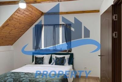 Pensiune/ Vila Valea Avrigului - 2