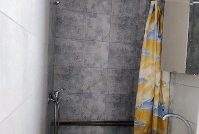 Garsonieră nedecomandată în Centru Civic - 1