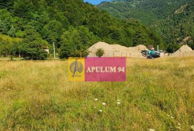 Teren Jude?ul Valcea - Brezoi, Valea lui Stan - 5