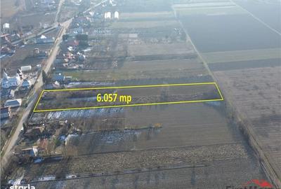 Spațiu comercial, în Rădulești - 8
