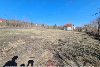 Casă cu Teren 4391 Mp în Cornu - 4