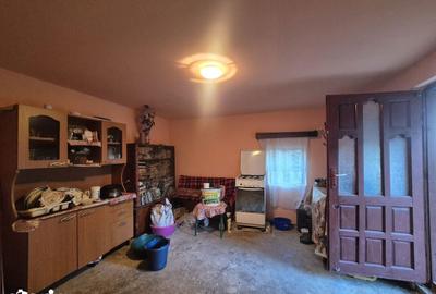 Casă cu 3 camere cu Teren 4820 Mp în Telești - 3