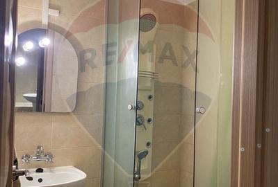 Apartament cu 3 camere decomandat, mobilat în Alfa - 11