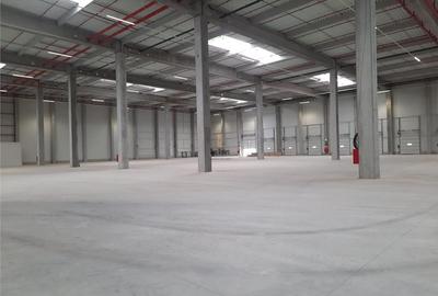 Spatiu Industrial - 1800 mp - Logistica - Productie - Depozitare - Distributie - 4