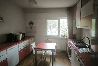 Apartament 3 camere Grigorescu langa statii autobuz parcuri - 8