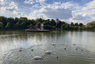 Casă individuală cu 4 camere cu Teren 150 Mp în Tei - 8