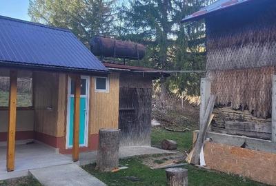 Casă cu Teren 350 Mp în Lepșa - 6