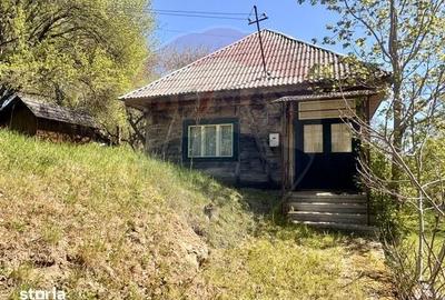 Casă cu 3 camere cu Teren 6039 Mp în Desești - 5