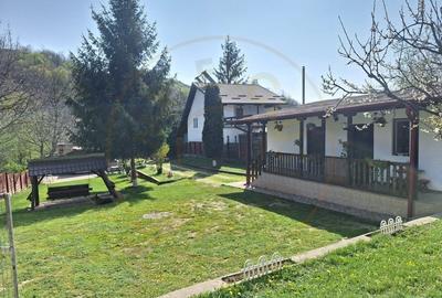 Casa de Vacanta - Un Colt de Rai , Stefanesti-Arges - 4