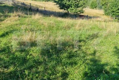 Teren de 2500 mp, în Central