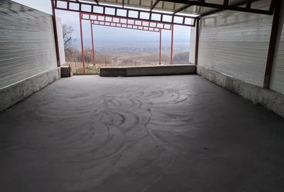 Hala pe Structura Metalica+ Casa batraneasca + 4800 m2 - 2