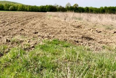 Teren de 3700 mp, în Bârsești (Budești) - 6