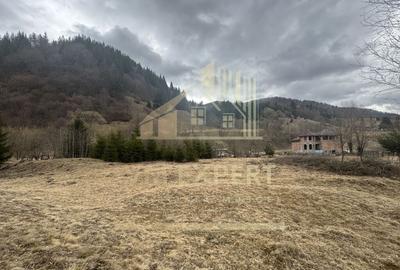 TEREN INTRAVILAN 500 MP SATIC- RUCAR - 15