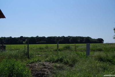 Spațiu comercial, în Găneasa - 3