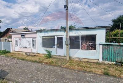 Spatiu comercial de 50 mp de vanzare, com. Filipesti, jud Bacau - 2