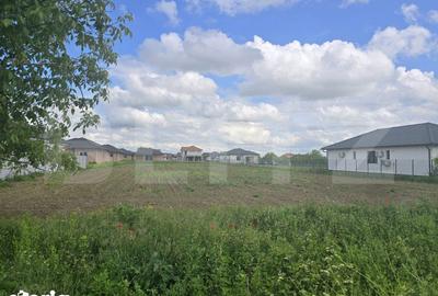 Teren de 3500 mp, în Păulești - 3