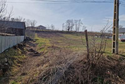 Teren - Roman  -Trifesti Teren - Roman  -Trifesti - 3