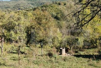 Teren cu priveli?te superba , livada ?i poten?ial casu? - 4