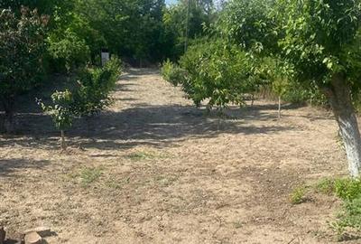 Teren Construcții intravilan de 933 mp, în Olari - 1