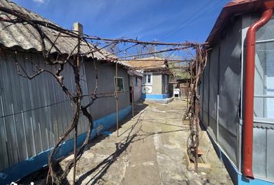 Casă cu 5 camere cu Teren 2000 Mp în Rădăuți-Prut - 9