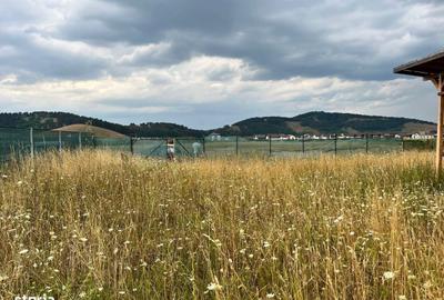 Spațiu comercial, în Sânpetru - 3