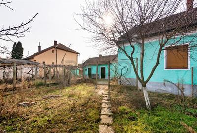 RECO Casa cu teren 3036mp, Bors - 13