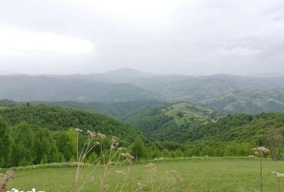 Teren de 20340 mp, în Crizbav - 6