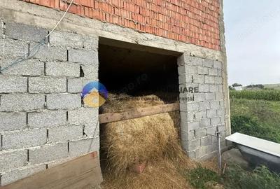 Casa de vanzare - GHINDAOANI - 2