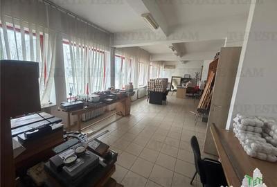 Spațiu comercial, de 456 mp, în Măgurele - 12