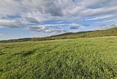 Teren de 923 mp, în Periferie