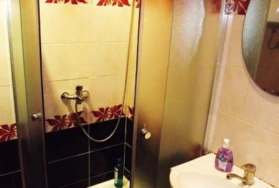 Apartament cu 2 camere de inchiriat in zona 13 Septembrie - 2