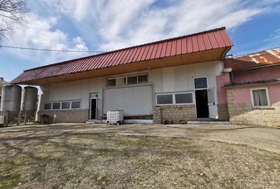 Spațiu comercial, de 10,000 mp, în Beciu - 5