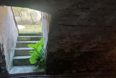 Casă cu 5 camere în Bod - 1