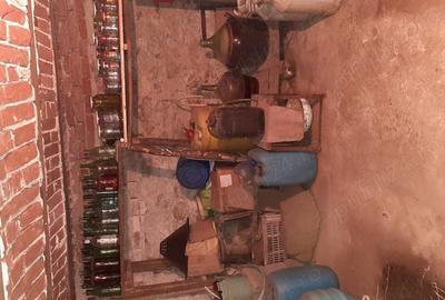 De vanzare casa, curte ?i gradina in Ora?tie - 6