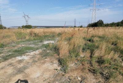 Teren de 5000 mp, în Afumați - 4