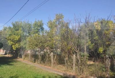 Casă cu 2 camere cu Teren 550 Mp în Fratelia - 4