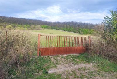 Spațiu comercial, în Socond - 1