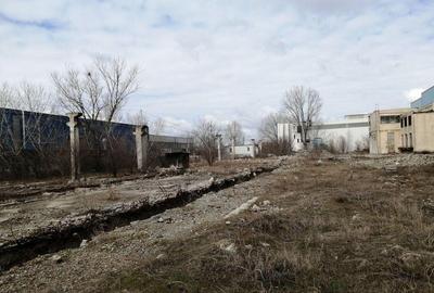 Birouri, spatiu industrial, hale Zona Libera Giurgiu ID 1... - 16