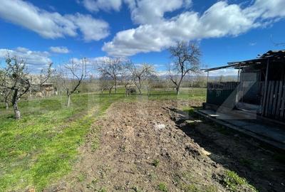 Casa cu 3 camere, 90 mp, 2 anexe gospodaresti si teren de 3000 mp, zona Crucisor - 16