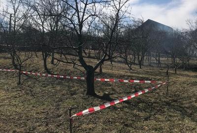 Teren de 715 mp, în Central - 3