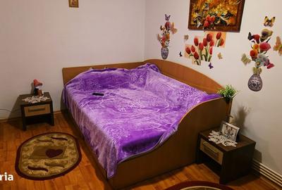 Apartament cu 2 camere decomandat, mobilat în Siderurgiștilor - 8