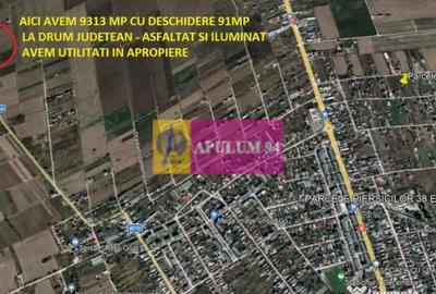 Teren de 9313 mp, în 1 Decembrie - 2