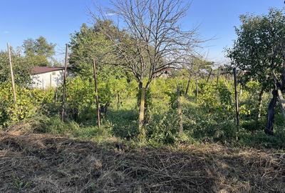 Casă cu 4 camere în Costuleni - 4