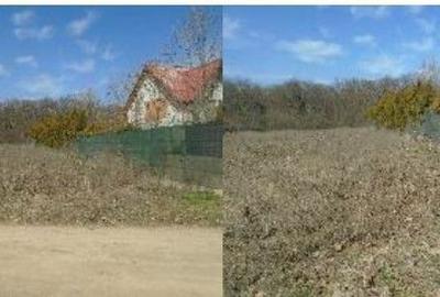 Teren de 935 mp, în Găneasa - 1