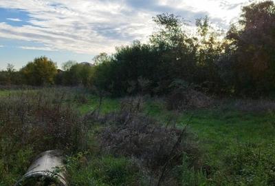 Teren agricol intravilan de 2000 mp, în Speriețeni - 2