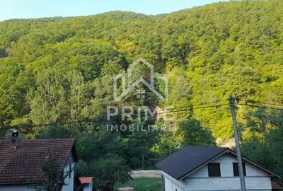 Teren de 2480 mp, în Fața - 6