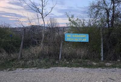 Teren în Central - 7