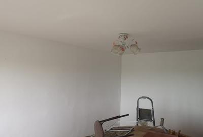 Apartament 3 camere Giurgiului - Luica - 7