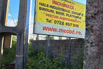 Hale, depozite si birouri - 1